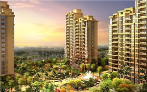 國際麗晶城—監(jiān)控