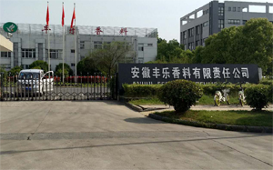 合肥香料廠房防爆監控施工